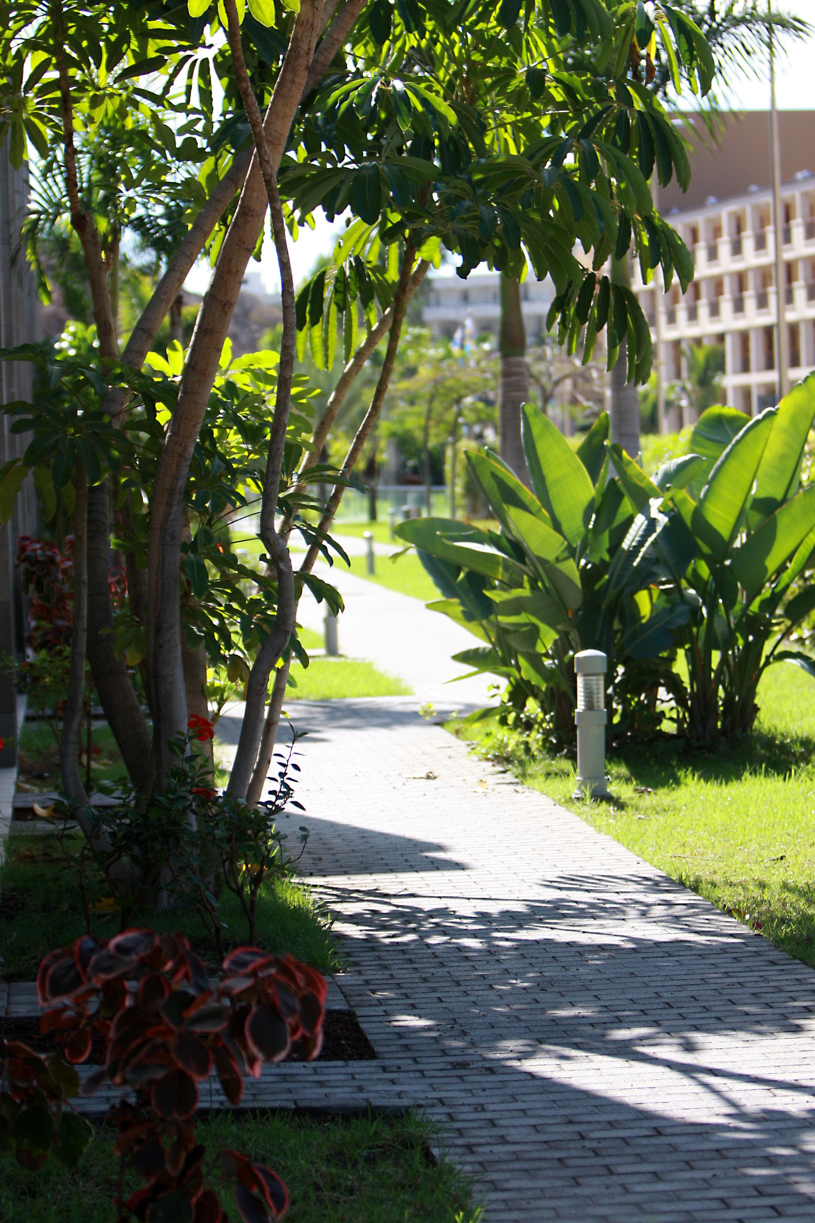 Hotel Livvo Costa Taurito & Aquapark (Adults Only) Екстер'єр фото